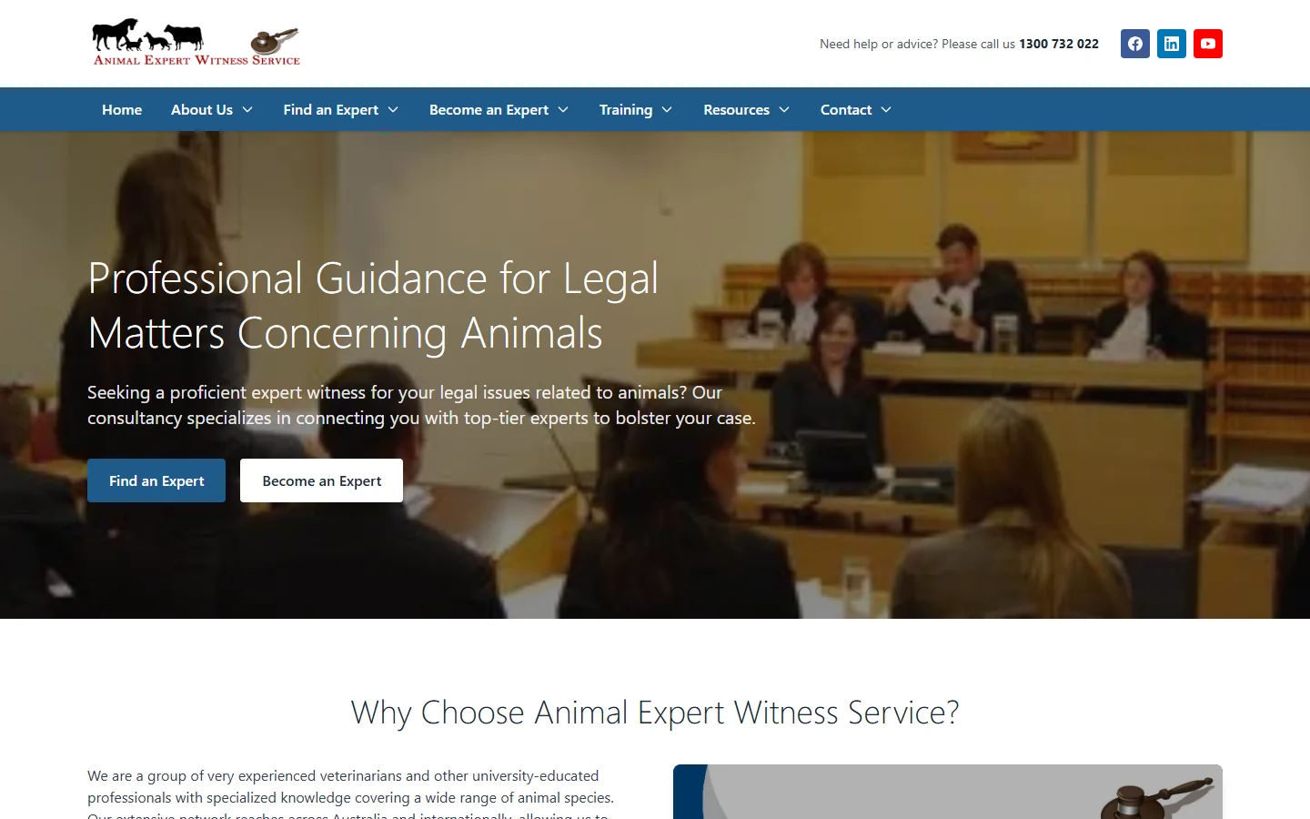 Animal Expert Witness website screenshot